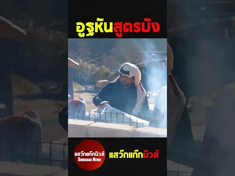 อูฐหันสูตรบัง #แสว๊กแก๊กนิวส์