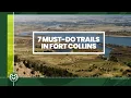 Top 7 Hiking Trails Near the CSU Campus in Fort Collins