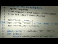 Activating debug mode in Python flask web application