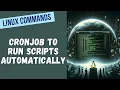 39 Run Scripts Automatically Cron Jobs in Ubuntu Made Simple -