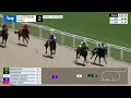 Gulfstream Park August 10 2026 Race 2