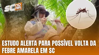 Estudo da UFSC indica risco de retorno da febre amarela em SC