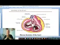 Download Lagu Anatomy CVS  Module  in Arabic 6  ( Fibrous skeleton of the heart ) ,  by Dr, Wahdan