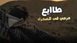طايع مرمي فى الصحراء بعد إختبار حربي ليه إنه يرجع حي لو هو فعلا دلال 