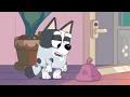 The Sleepover | Full Episode | Bluey