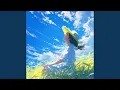 Skyward