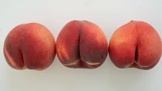 I ve Compiled Extensive Butthole Data