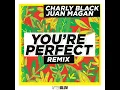 You're Perfect (Remix)