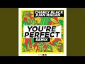 You're Perfect (Remix)