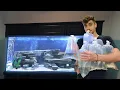 BUYING NEW FISH for AQUARIUM
