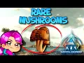 WHERE TO FIND RARE MUSHROOMS - ASA