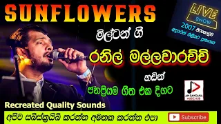 ranil malawarachchi with sunflower 2007 recreated sound