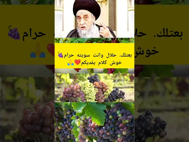 ⁣بعتلك حلال وانت سويته حرام.. 🙏💓🍇سيد صباح شبر