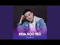 Download Lagu HOA HOC TRO