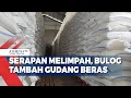 Download Lagu Serapan Melimpah, Bulog Tambah Gudang Beras
