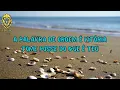 Download Lagu Agir de Deus  -  Carolina Miranda \u0026 Wilian nascimento  (Legendado)