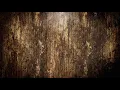 Los Cafres - Tu meta tapa single 7