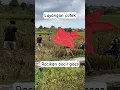 Download Lagu LAYANGAN COTEK BIG RACIKAN BOCIL GAES ‼️ #layangan #cotek #videoshort