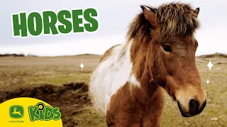 we love horses on the farm john deere kids