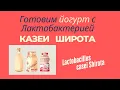 Making yogurt with Lactobacillus casei Shirota strain