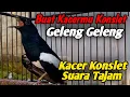 Download Lagu kacer konslet suara tajam (vidio original untuk memancing kacer konslet)