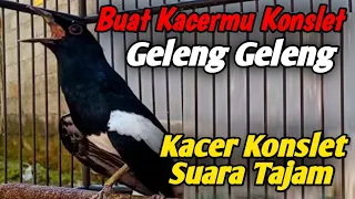 kacer konslet suara tajam vidio original untuk memancing kacer konslet 