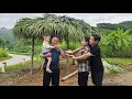 Download Lagu A kind man and a single mother, will they have a beautiful and happy love?, ly tu tay