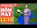Download Lagu Dự báo thời tiết mới nhất hôm nay 12/10 | Dự báo thời gian 3 ngày tới | Báo Nhân Dân