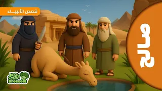 قصص الأنبياء مع بروكلي  قصة سيدنا صالح عليه السلام            سيدنا صالح  قصص الانبياء دندنها