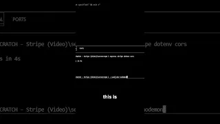 Boost Your Node js Dev Speed with Nodemon - Ultimate Stripe API Node JS Tutorial