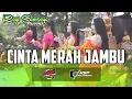 Download Lagu Cinta Merah Jambu ROGO SAMBOYO PUTRO Voc ALL Artis Live Plemahan