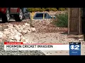 Mormon crickets create creepy crawly nuisance in Elko invasion