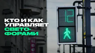 Пробки, зебра, трамваи — как устроено движение в городе