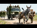 Download Lagu 日軍狂追驢車，怎料下一秒被炸得皮開肉綻，毫無反抗之力！