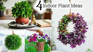 4 Best Indoor Plants Ideas to Instantly Freshen Up Your Home  | Easy Houseplants Ideas//GREEN PLANTS