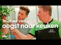 Download Lagu Bramen plukken en zelf jam maken | Nederland op z'n lekkerst | Allerhande