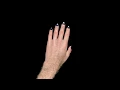 Download Lagu Test Animation - Werewolf TF
