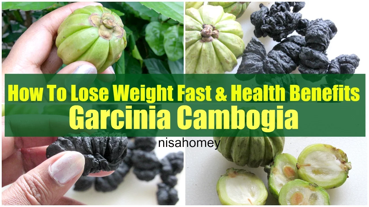 Garcinia Cambogia For Weight Loss & Health Benefits -  Lose Weight With Kudampuli - Malabar Tamarind
