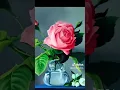 Lukisan bunga mawar #lukisanbunga #painting #lukisanindonesia #flowers #paintingflowers #art