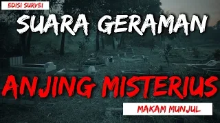 Download 🔴 67- SUARA GERAMAN DAN ANJING MISTERIUS DI SORE HARI MP3