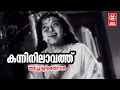 Lagu Kanninilavathu | Thacholi Othenan | P Bhaskaran | MS Baburaj | P Leela | Ambika | Old Movie Song