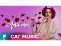 Download Lagu MIRA - Anii mei (Official Video)