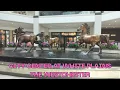 City Center at White Plains The Westchester A Tale of Two Malls