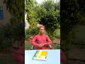 Download Lagu Surah Al-Baqarah Full Recitation | Soothing Quran Tilawat | Peaceful Heart