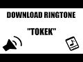 Download Lagu Download Efek Suara : Ringtone Tokek