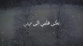 بكى قلبي   انس البرقي دندنها