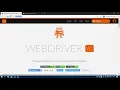 Lesson webdriver io Trainee Level 1 API Home task