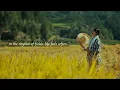 Download Lagu in the rhythm of fields, life feels softer.../a playlist for quiet hours/