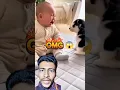 Lagu Too Cute Baby \u0026 Dog 😂🐶👶 #funny #shorts