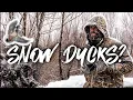 Lagu Duck Hunting in BLIZZARD- Will They Fly??